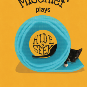 Mischief Plays Hide and Seek by Ashani Hirway