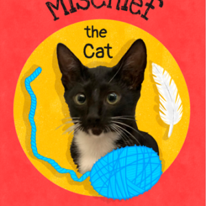 Mischief the Cat by Ashani Hirway
